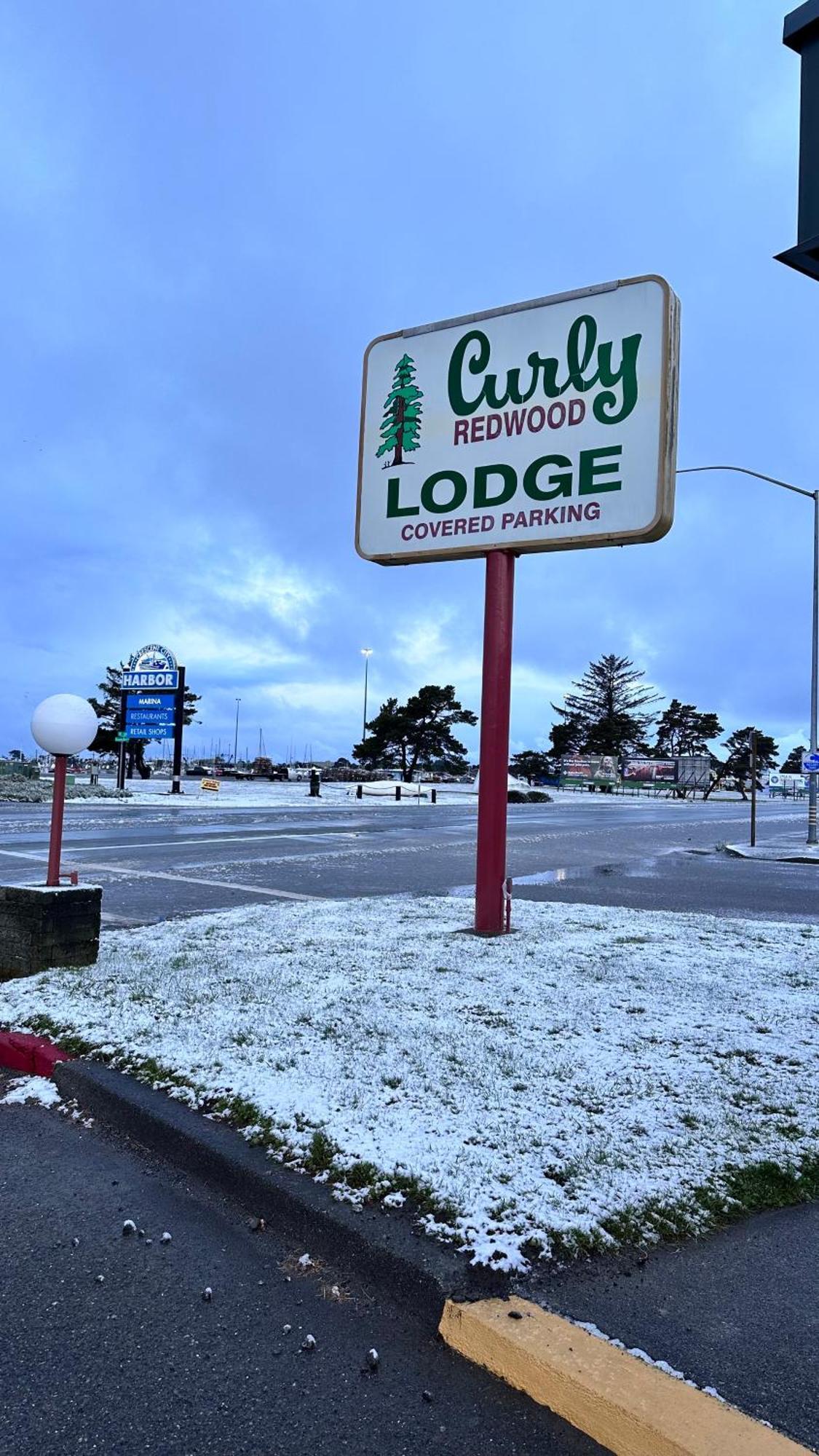 Curly Redwood Lodge Crescent City Exterior photo